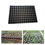 Siddhi 126 Cavities (Round Shape) Reusable Plastic Seedling Tray for Nursery and Gardening